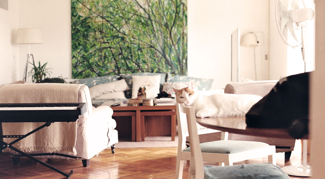 More Than Just an Air Purifier